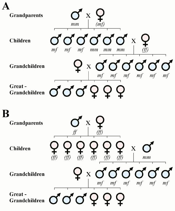 Chromosomes Are So 20th Century Male Genes Really Determine Baby 